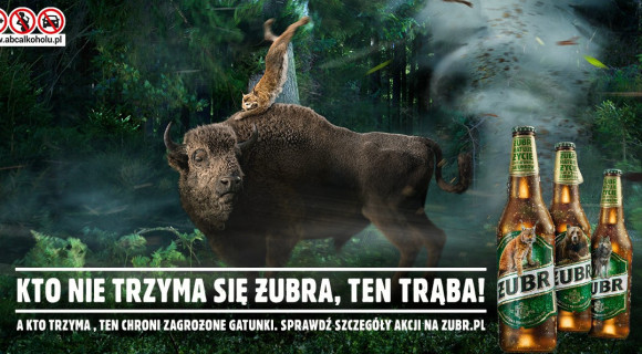 Żubr ratuje życie zagrożonych gatunków